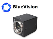 bluevision